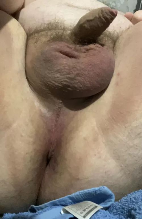 I need an ass fucking