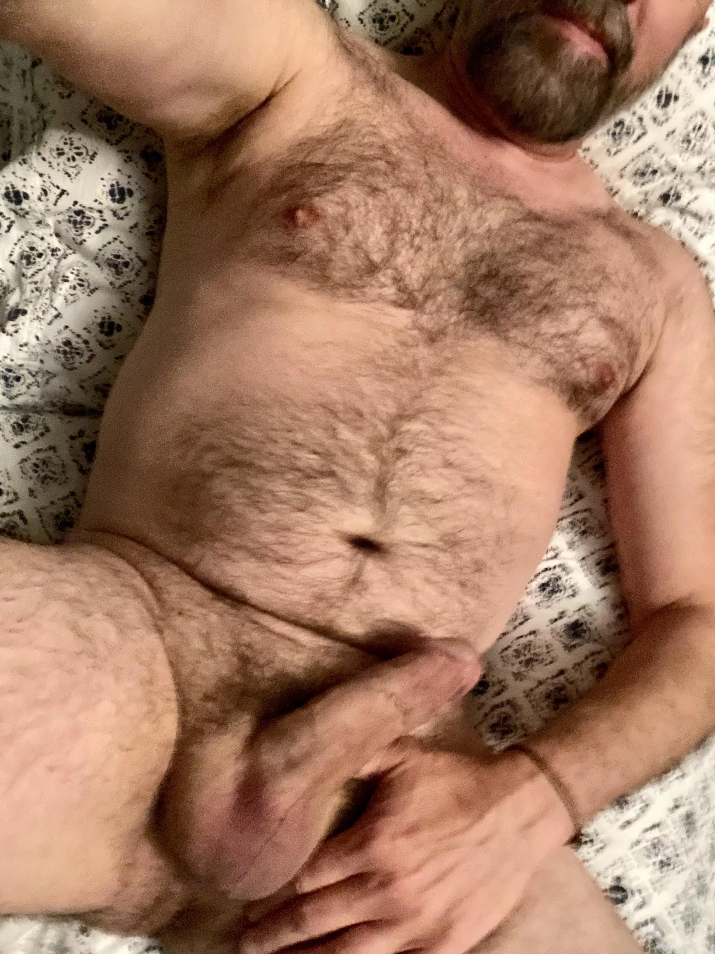 I really didn’t want to get out of bed this morning…