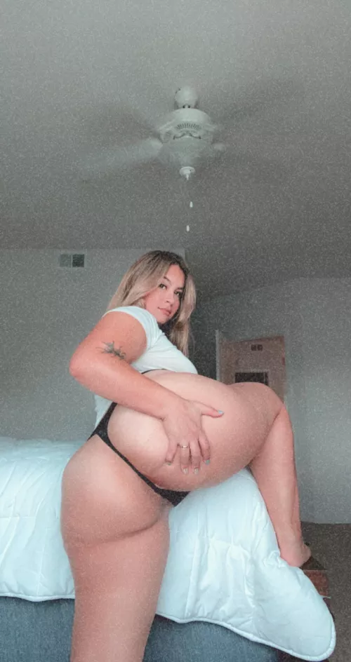 I solemnly swear I am up to no good