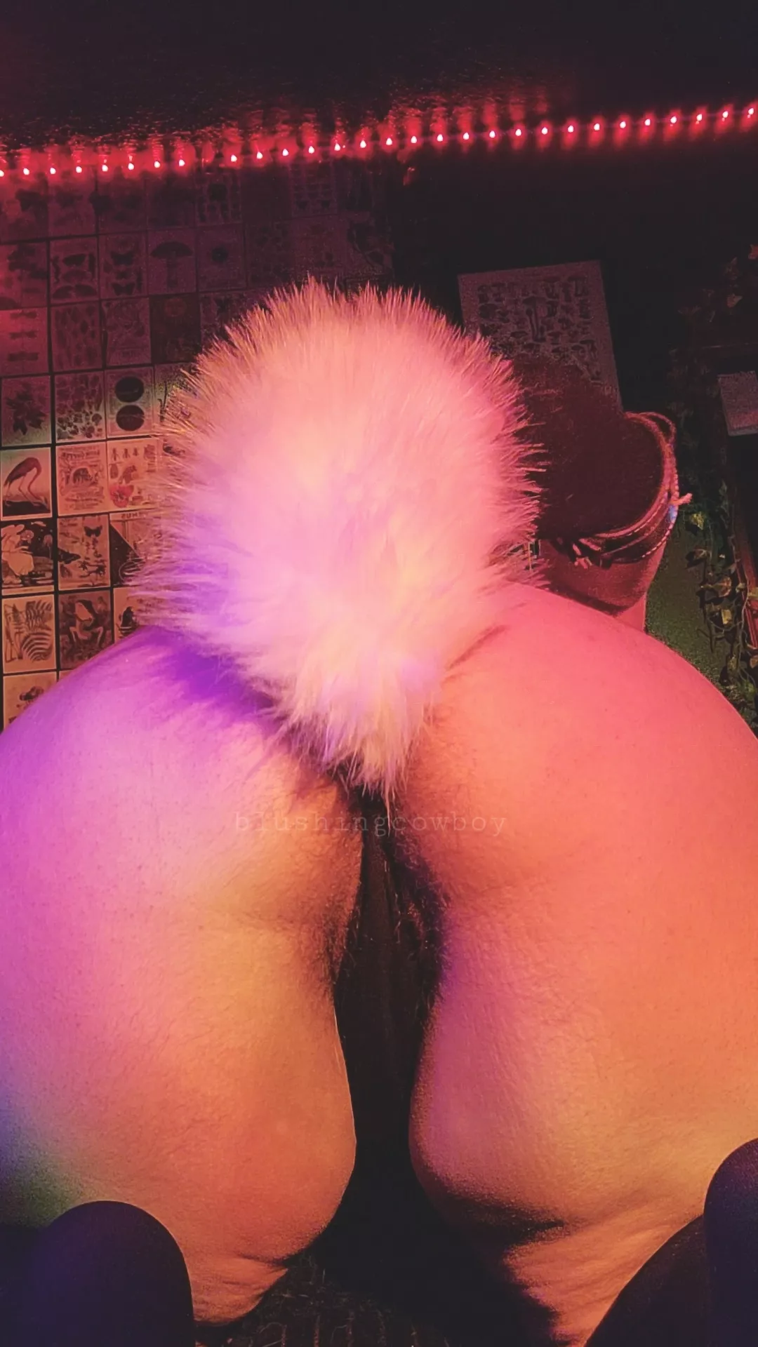 i think it matches my tail, don't u agree? 🐕💗