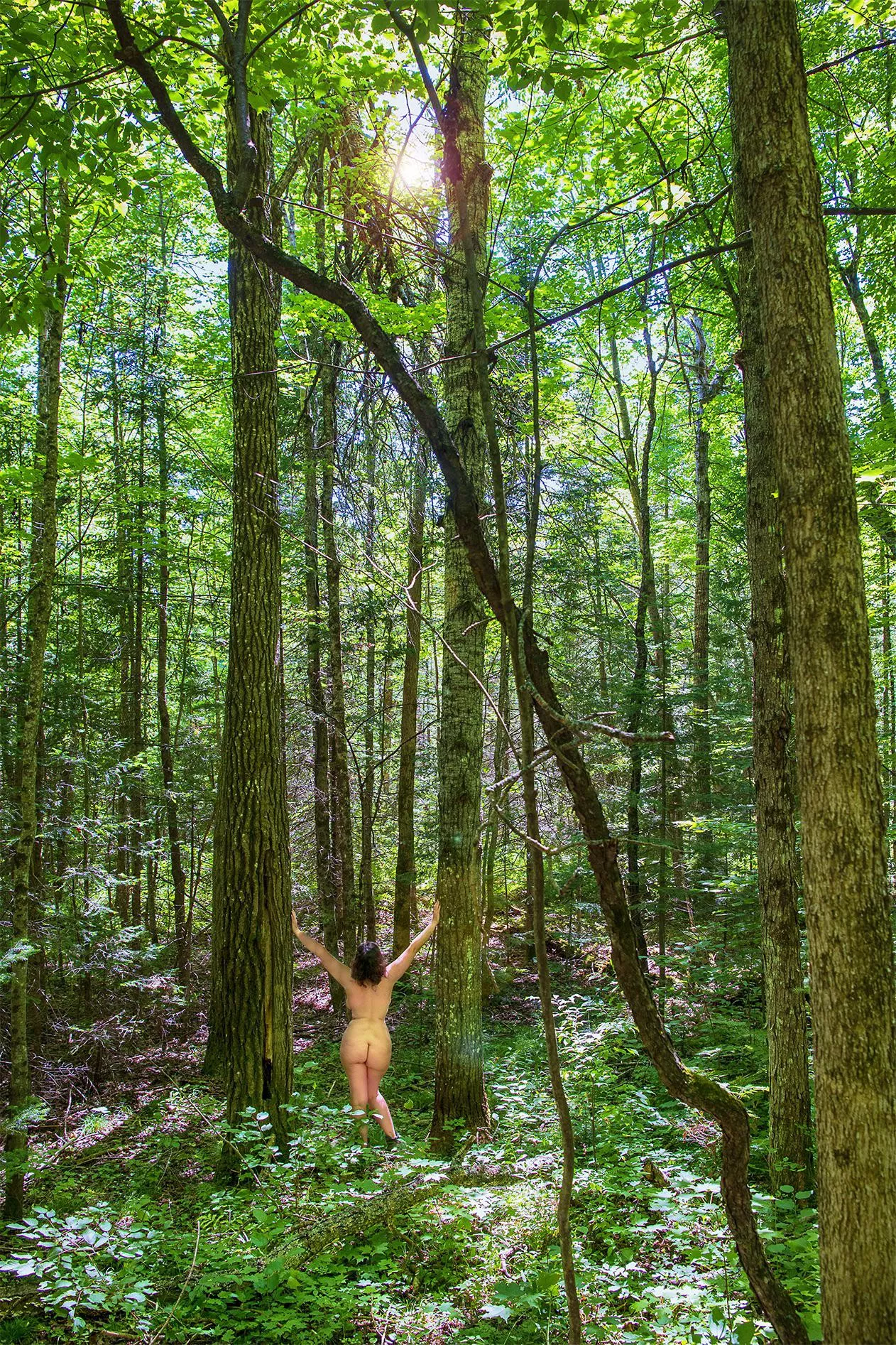 “I took a walk in the woods and came out taller than the trees.” -Thoreau