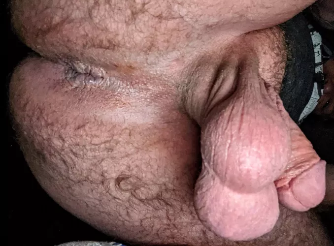 I wanna drag my smelly nuts on your face