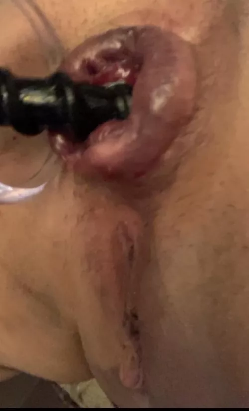 I want as many strangers as possible to see & laugh at my blown out butthole 🐮 🍩