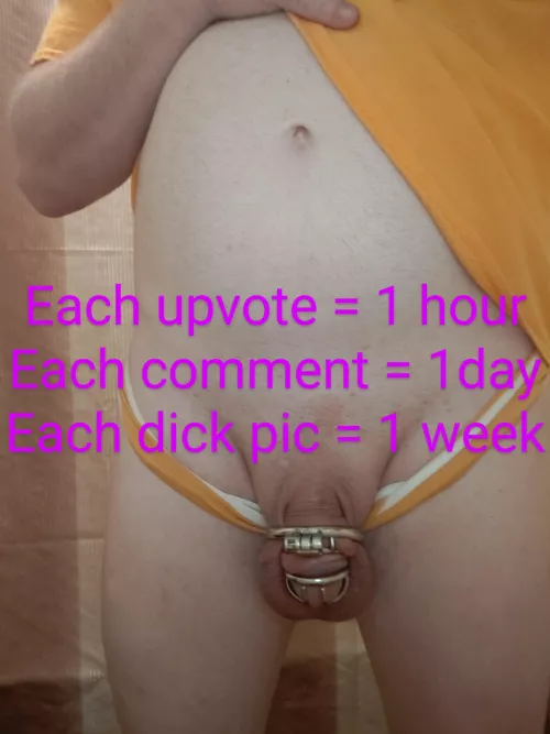 I want to play a game. make me forget what it's like to be free