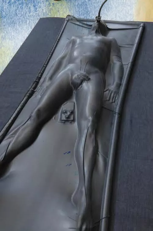 I was let out of my cell for the first time in months today to be sent to SLUTcon. The Matriarchy wants to show off their new 'Prisoner Encasement Technology' I feel like I'm on my way to be given to Jabba the Hutt.