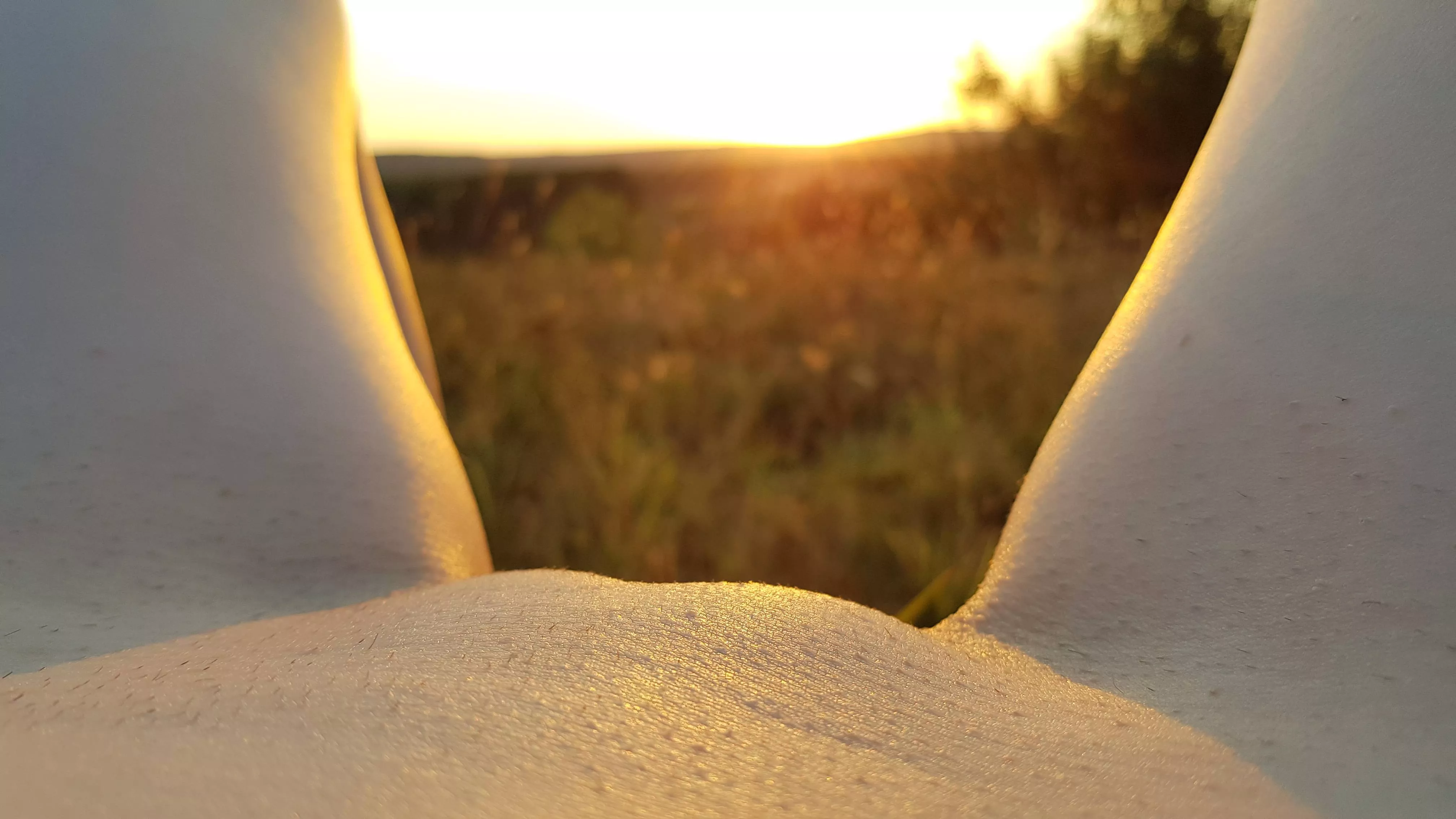 I we wanted you to meet this sunset with me [F] [IMG]