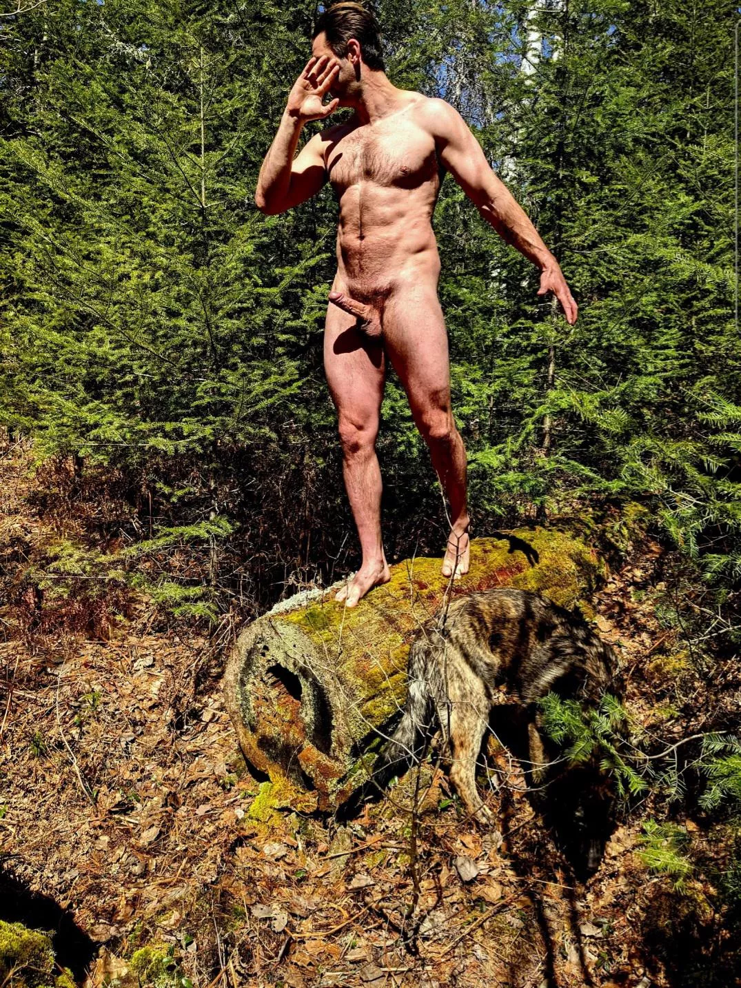 if a dick is hard in the woods and no one is around to suck it...(39)