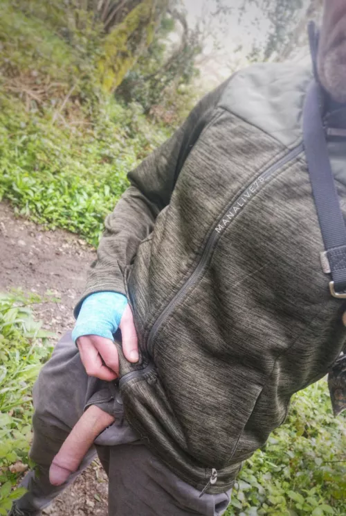 If you go down to the woods today [44]