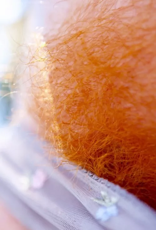 If you know you know