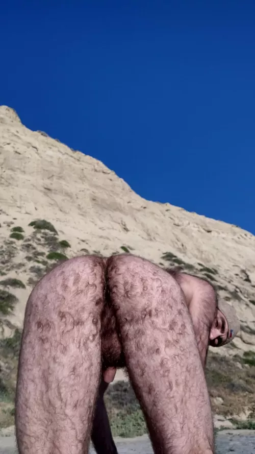 if you like my hairy man ass you can follow it on my only fans no pay per view link in comments.