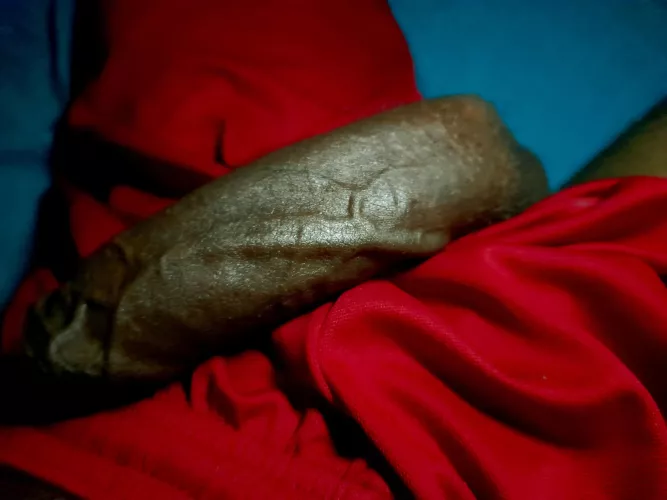 if you like this 🍆, i can't blame you 🤭