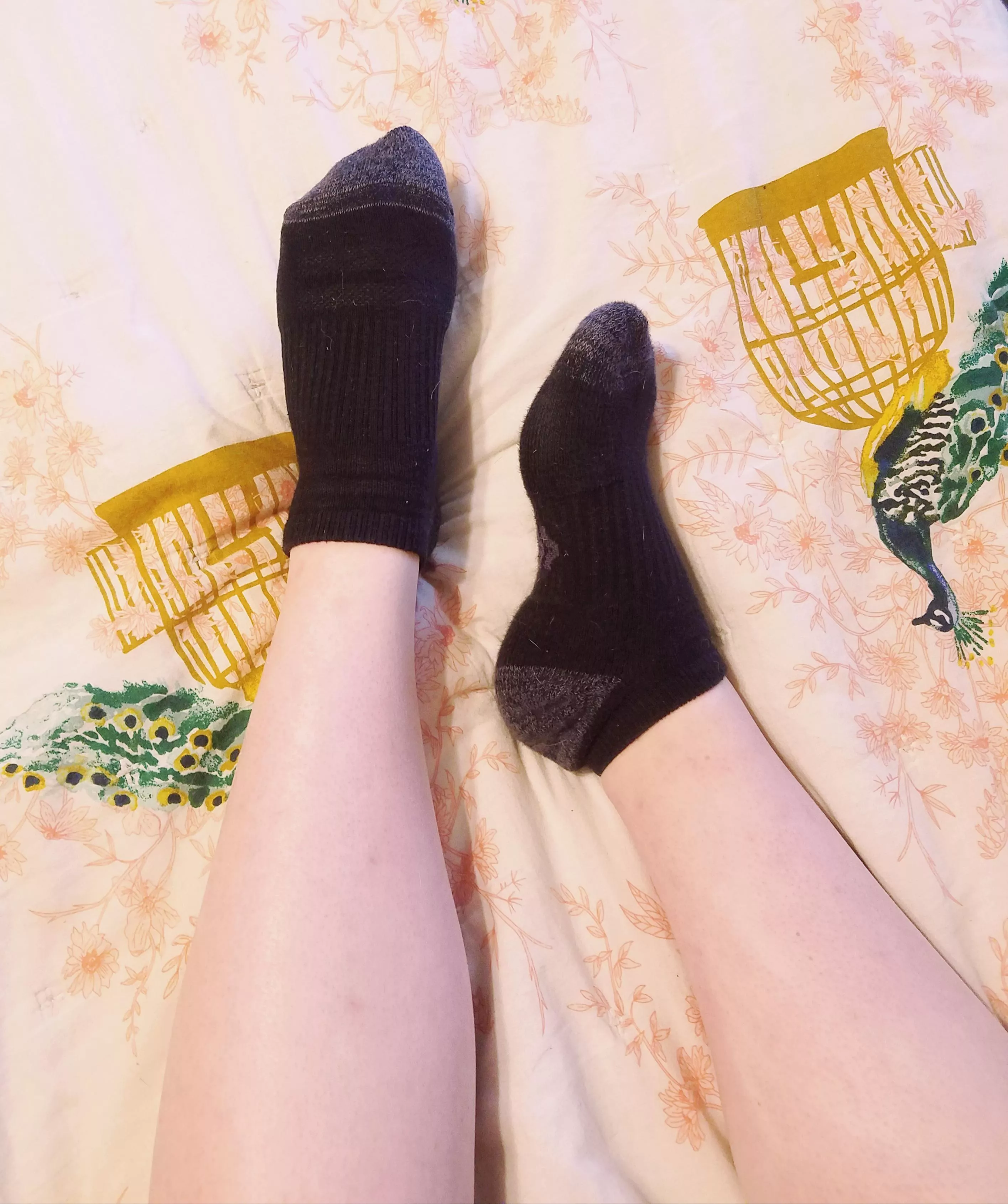 I'll wear these babies as long as you like. Message me! ♡