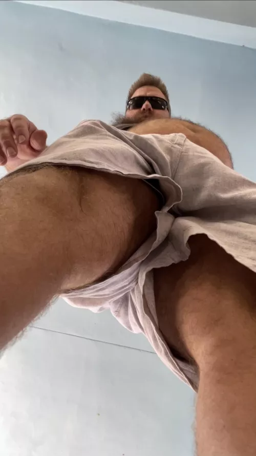 I’m a gay bear. Rawr.