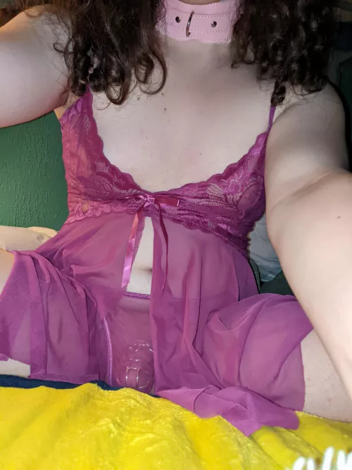 I'm back and collared 🥰