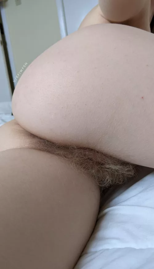 I'm hairy in all my secret places