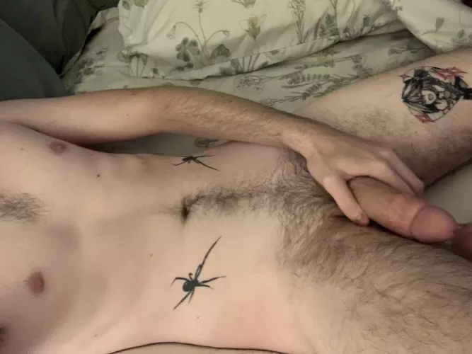 I’m new around here, would anybody like to teach me a thing or two? 🥰🦇🕷🖤