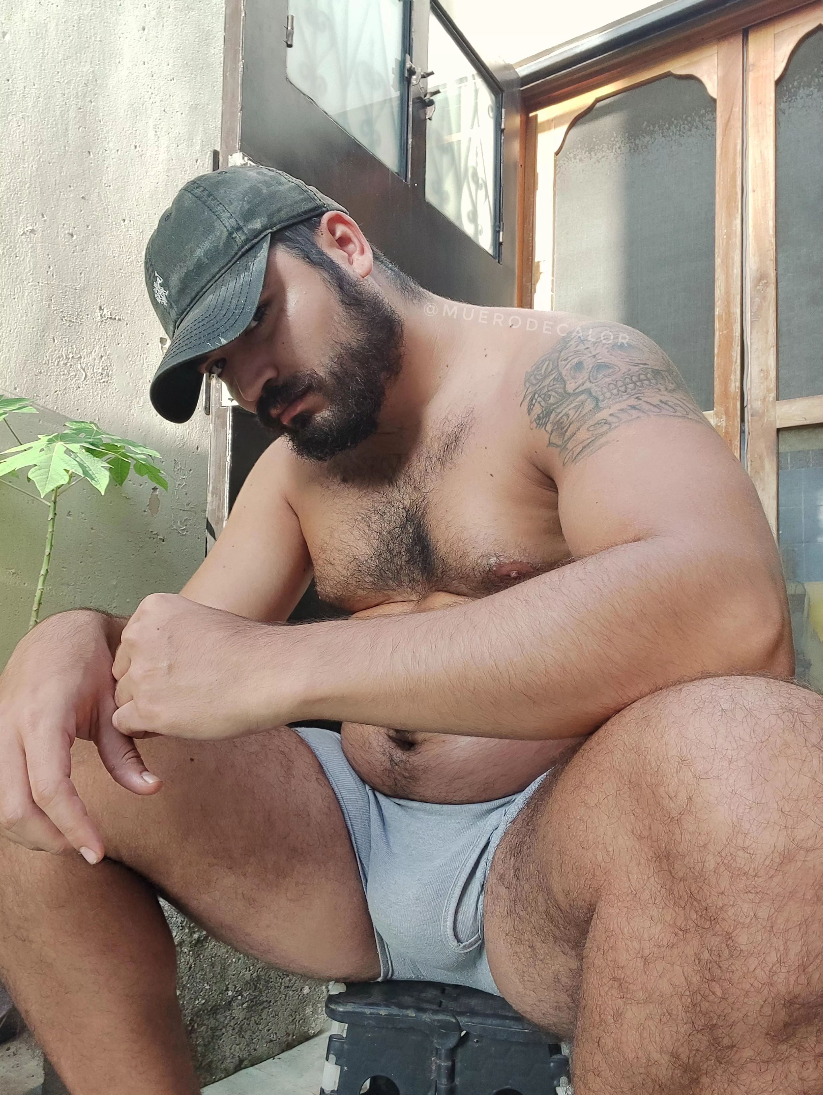 Im not a cub, not yet a papa bear... I think.