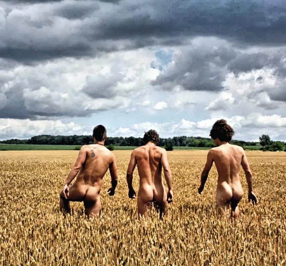 “In the field” …