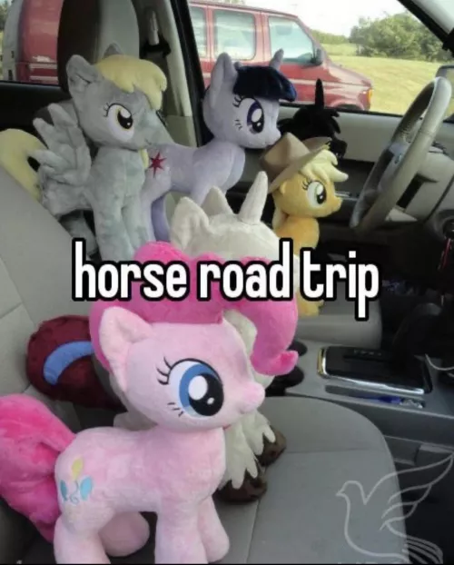 Indeed to post this here