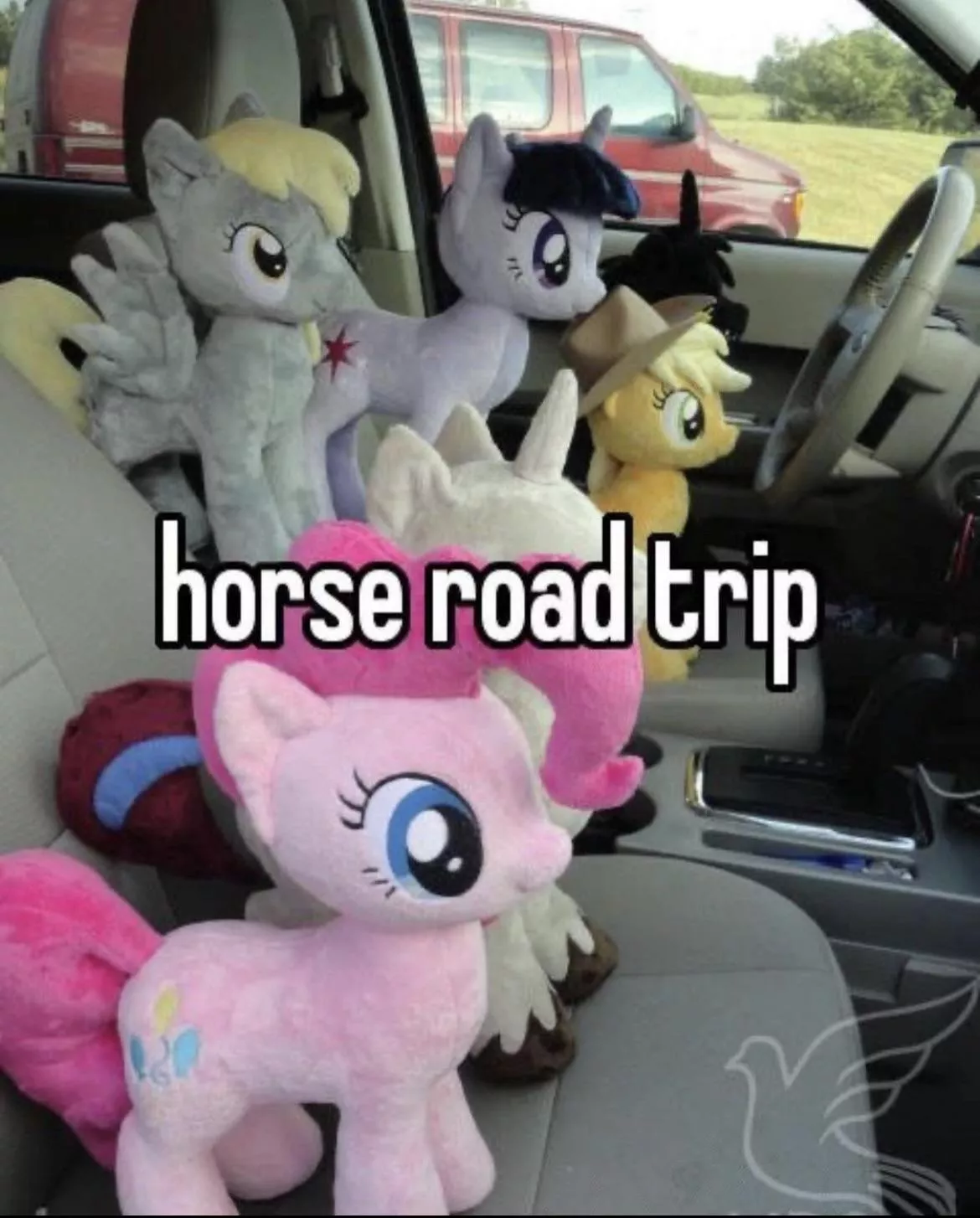 Indeed to post this here