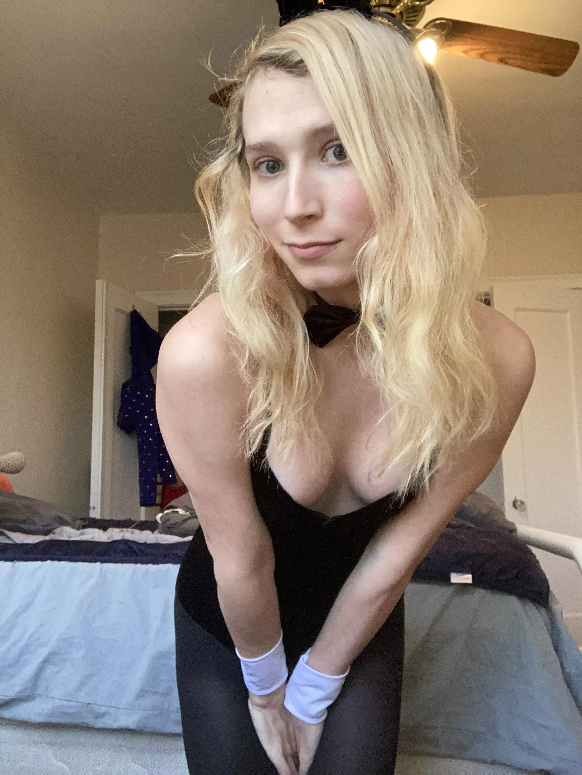 is it bunny season yet?