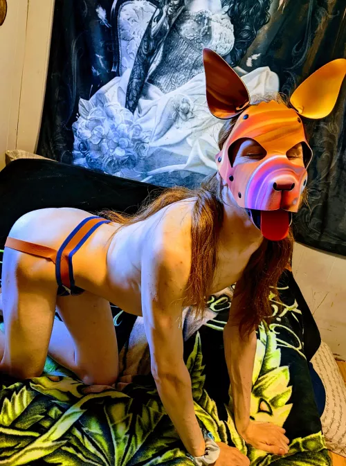 is it play time yet? 🐶😋🤫