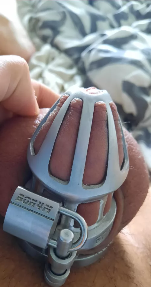 Is my cage small enouth for you? ๐ฅฐ (21 trans girl) ๐