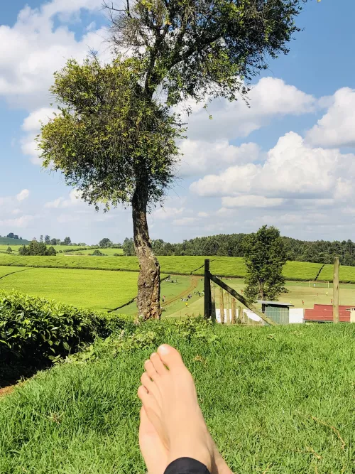 is my feet as beautiful as the view?