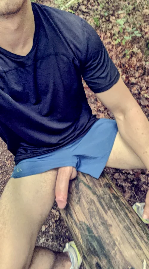 it fell out in the woods