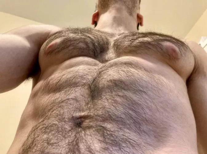 It was Reddit that told me to stop trimming my fur, and I couldnโt be more thankful
