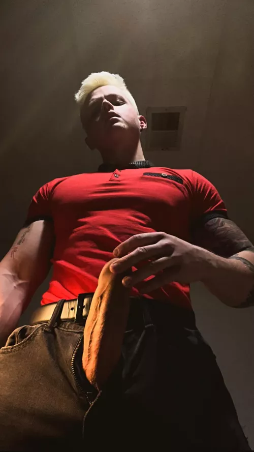 It would look best on your forehead 🤴