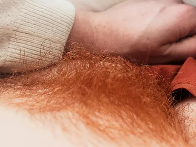 It’s been proven that introducing a dose of Brook to your daily routine improves relaxation, promotes better sleep, enhances self esteem and induces endorphins! Warning consuming in large amounts may lead to addiction and excessive libido 💦