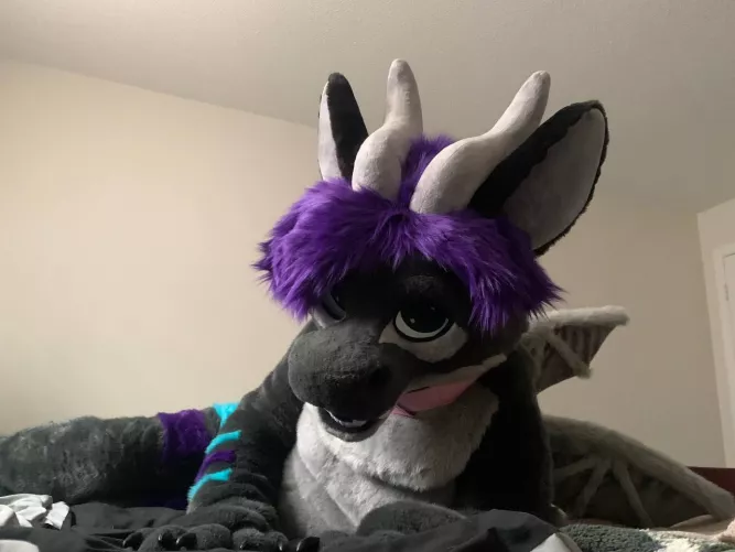 △ It's Friday again! Time for snugs. ^.=.^