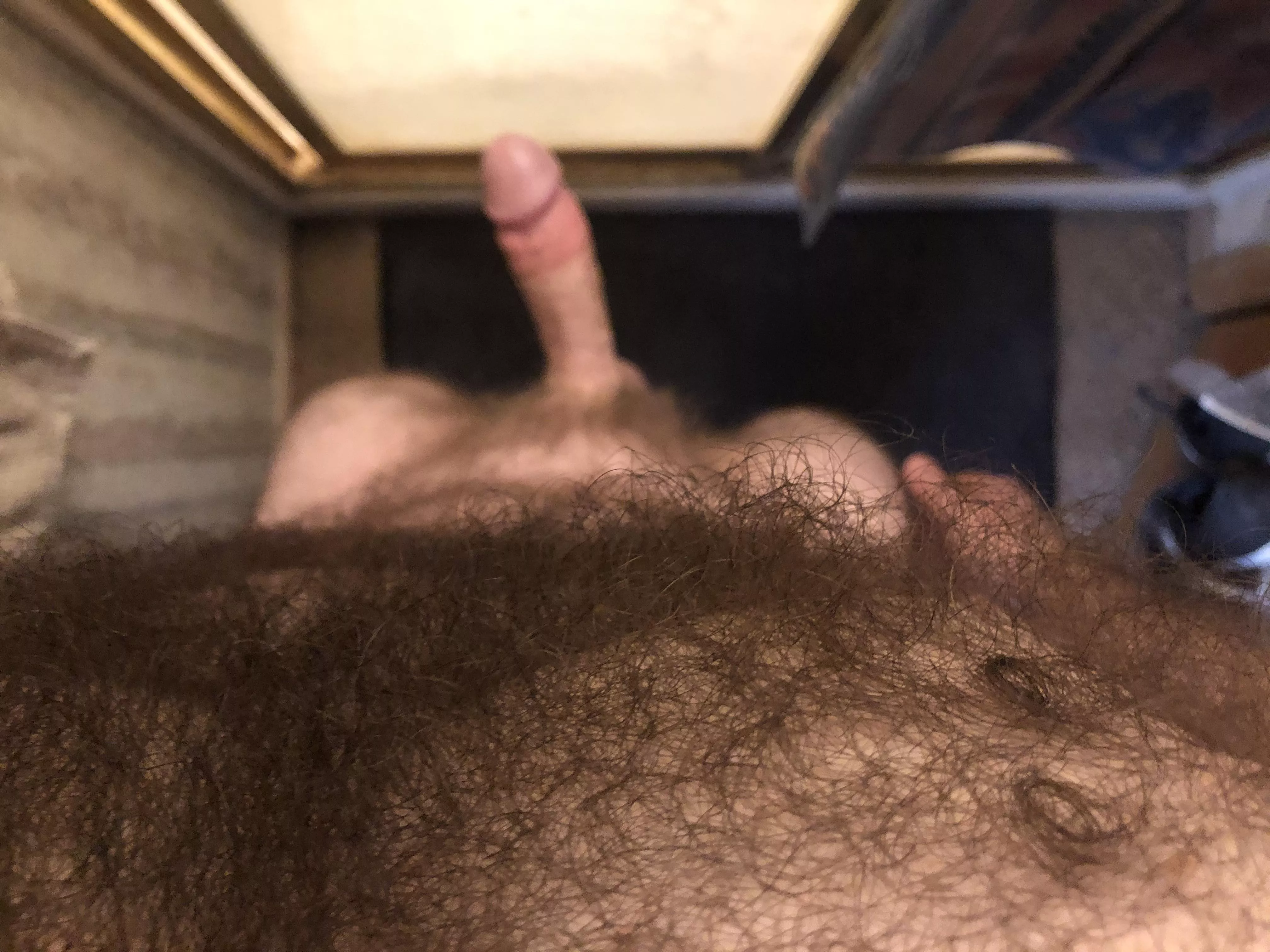 It’s like a jungle sometimes..