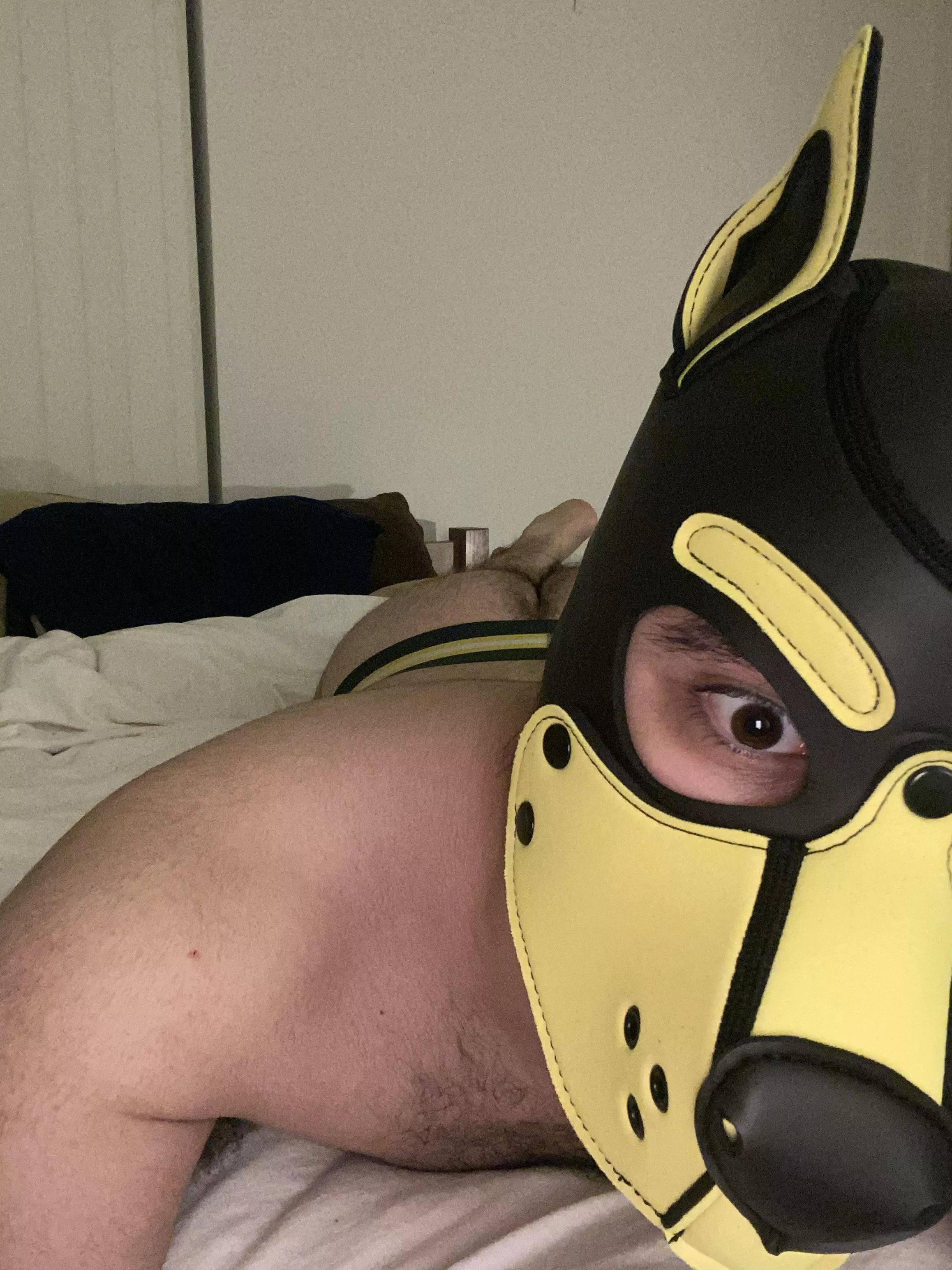 It’s time for this pup to go to bed… unless you want to do something else instead?? Woof!