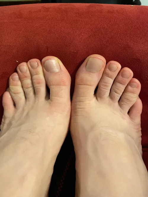 I’ve got 8 little piggies for you to play with, and 2 big ones if you’re good 😉