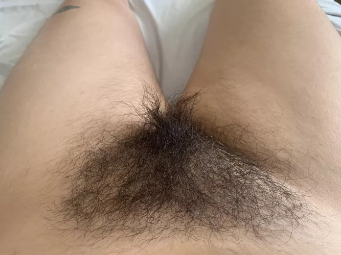 I’ve had so many guys refuse to eat me out because of my bush , but at least some of you out there would!