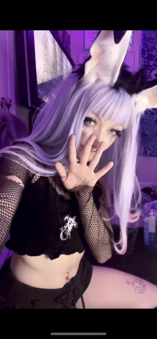 Just a cute anal bunny saying hi :3