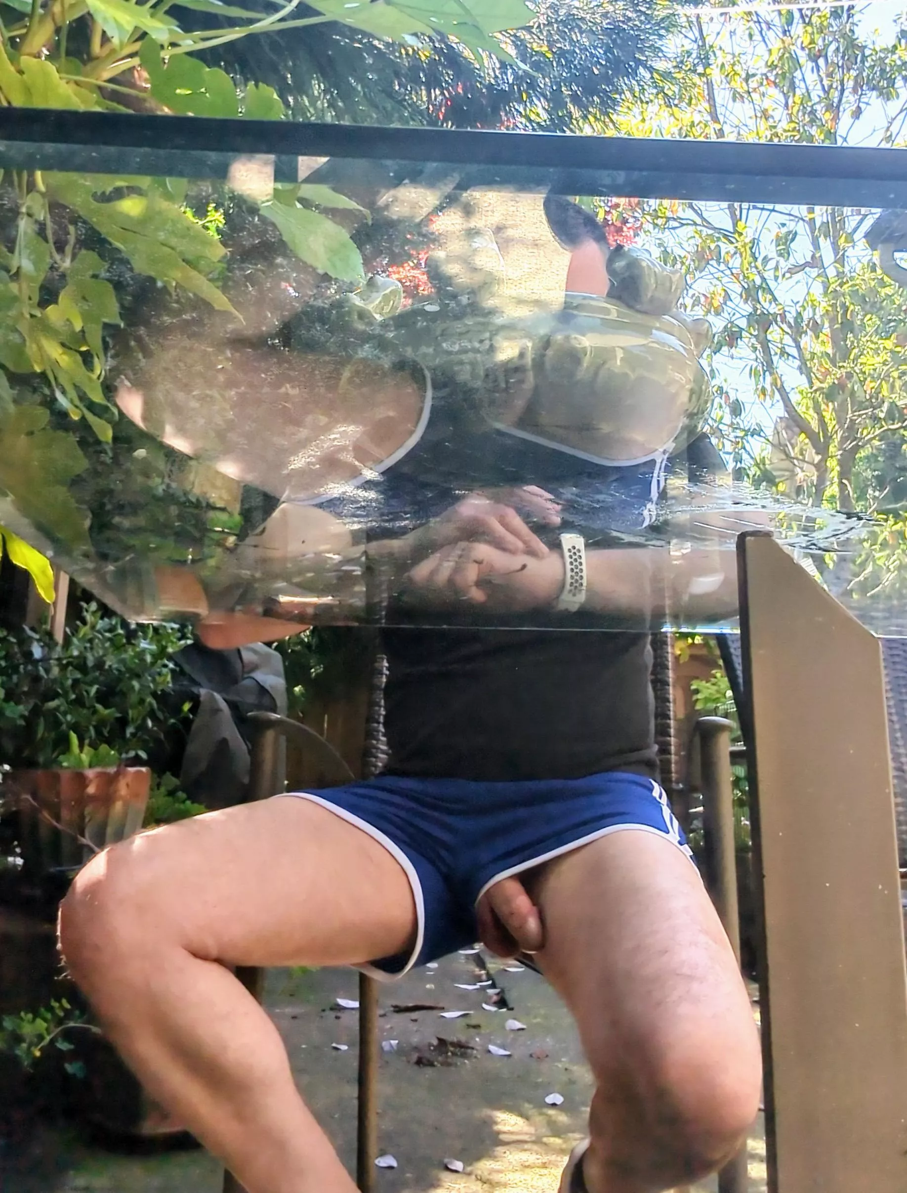 just a peek just a peek