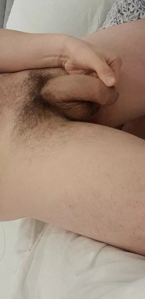 Just a relaxed evening with a relaxed penis....