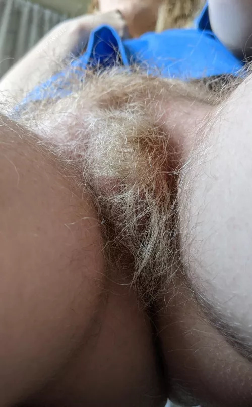 Just a reminder, I'm never shaving or trimming again!