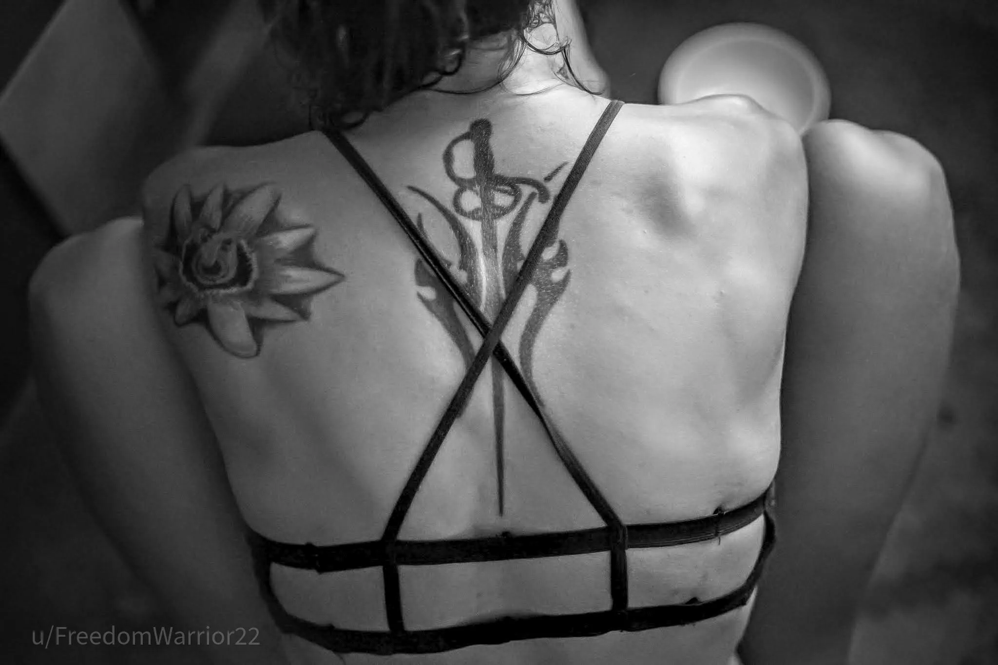 Just the back. Just the back.