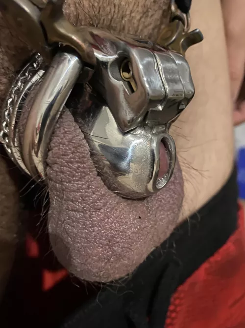 Just tried out my extremely small cage! ππ£ 8 inches erect in a 1 inch cage!