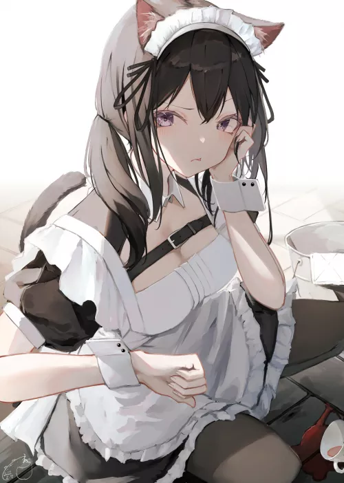 Kitty does not approve