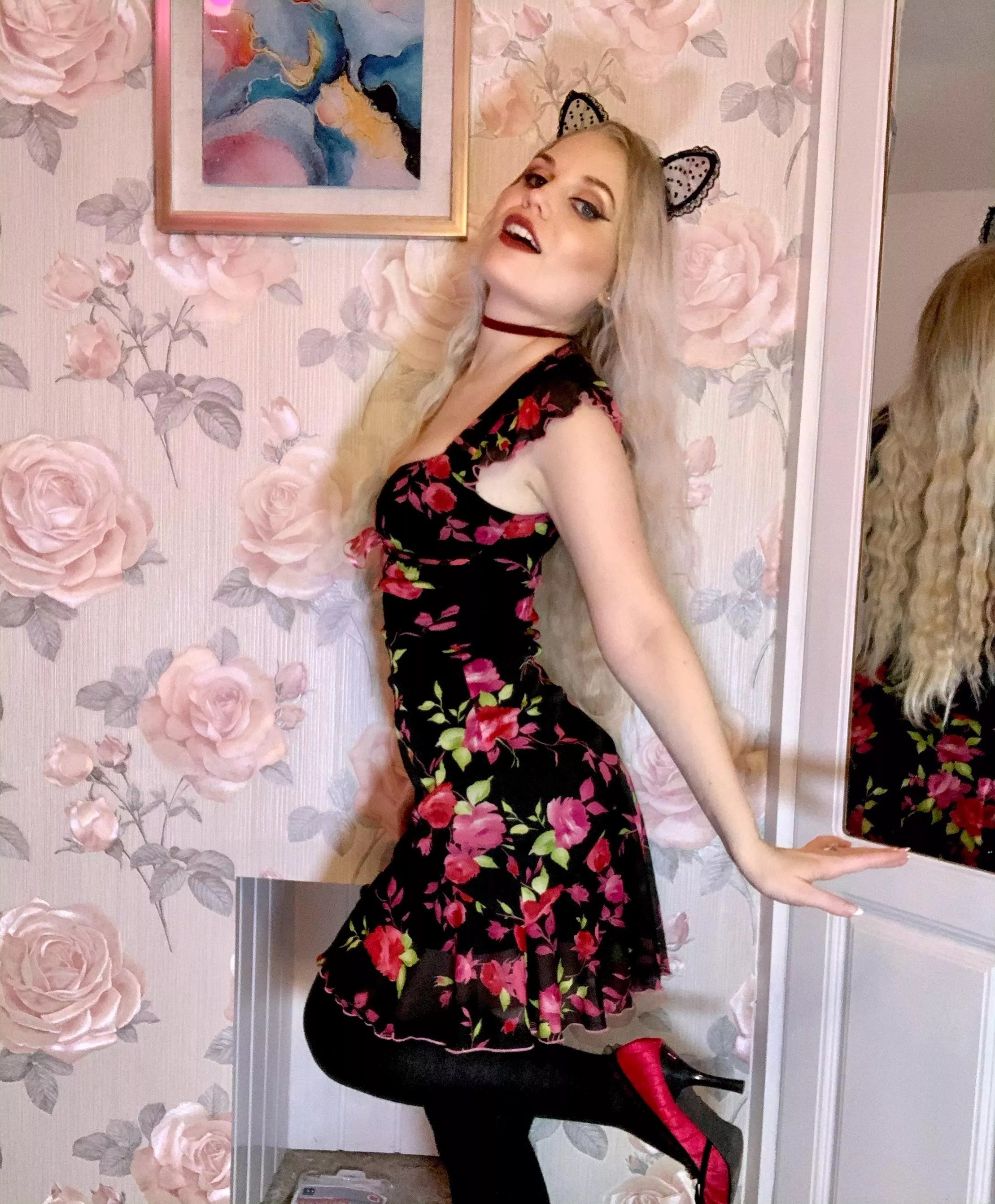 Kitty is feeling romantic 🥰