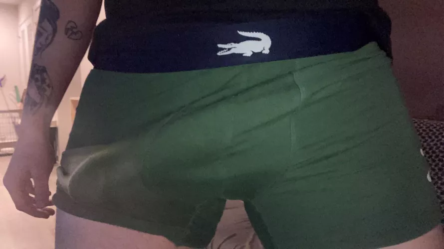 Lacoste bulge today