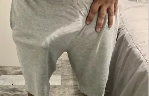 Latin dick print