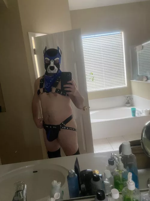 Leather Pup Luca🐶🐾 Arooo!