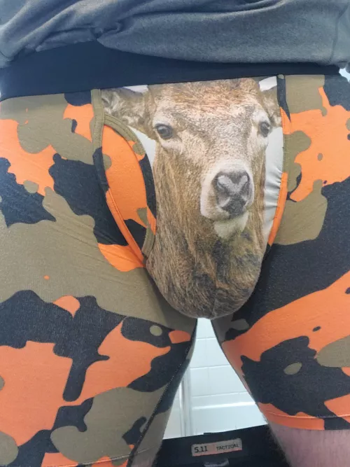 Buck Wild Porn