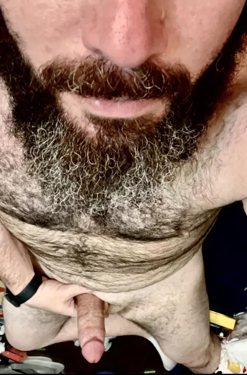 Let’s go for a ride